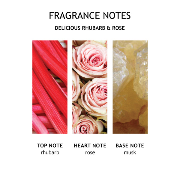 Delicious Rhubarb & Rose Single Wick Candle 