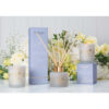 Stoneglow Day Flower - White Linen & Cotton - Reed Diffuser (Blue) 